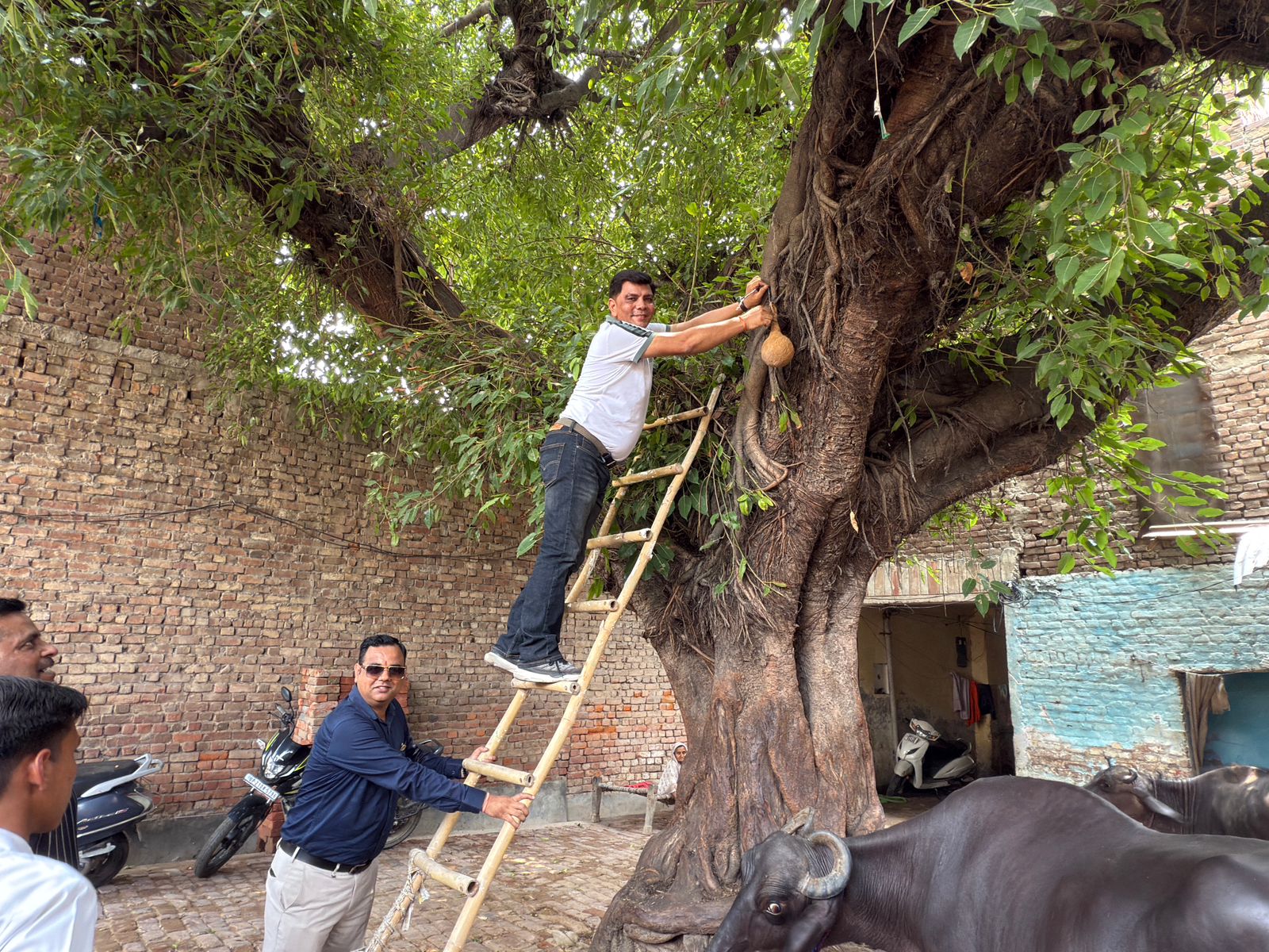 Environment Initiatives Team